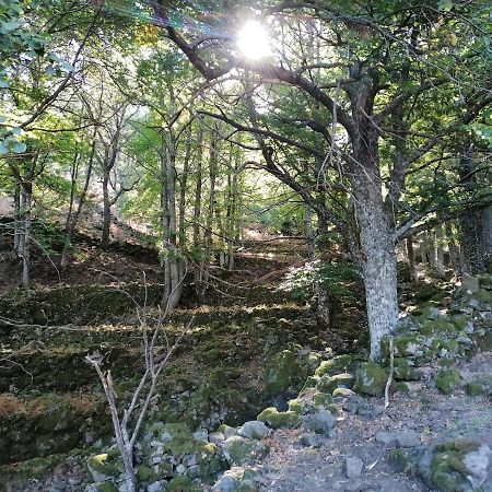 Ambroz y Plata Villa Aldeanueva del Camino Kültér fotó