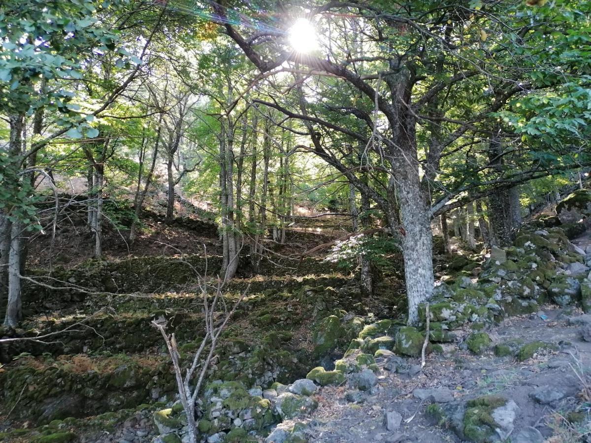 Ambroz y Plata Villa Aldeanueva del Camino Kültér fotó